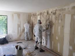 Environmental Consulting for Mold Prevention in Anthem, AZ